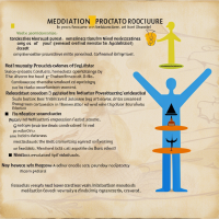 mediation procedure conducted by a mediator